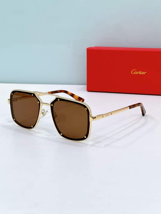 Picture of Cartier Sunglasses _SKUfw80536216fw
